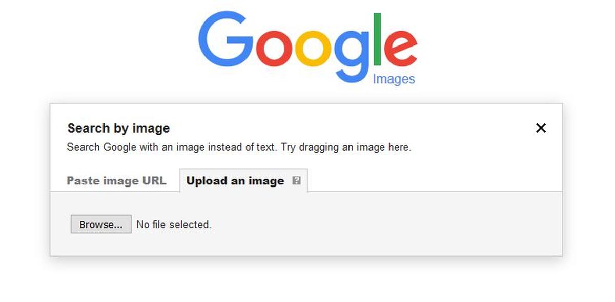 snapshot for google search by image